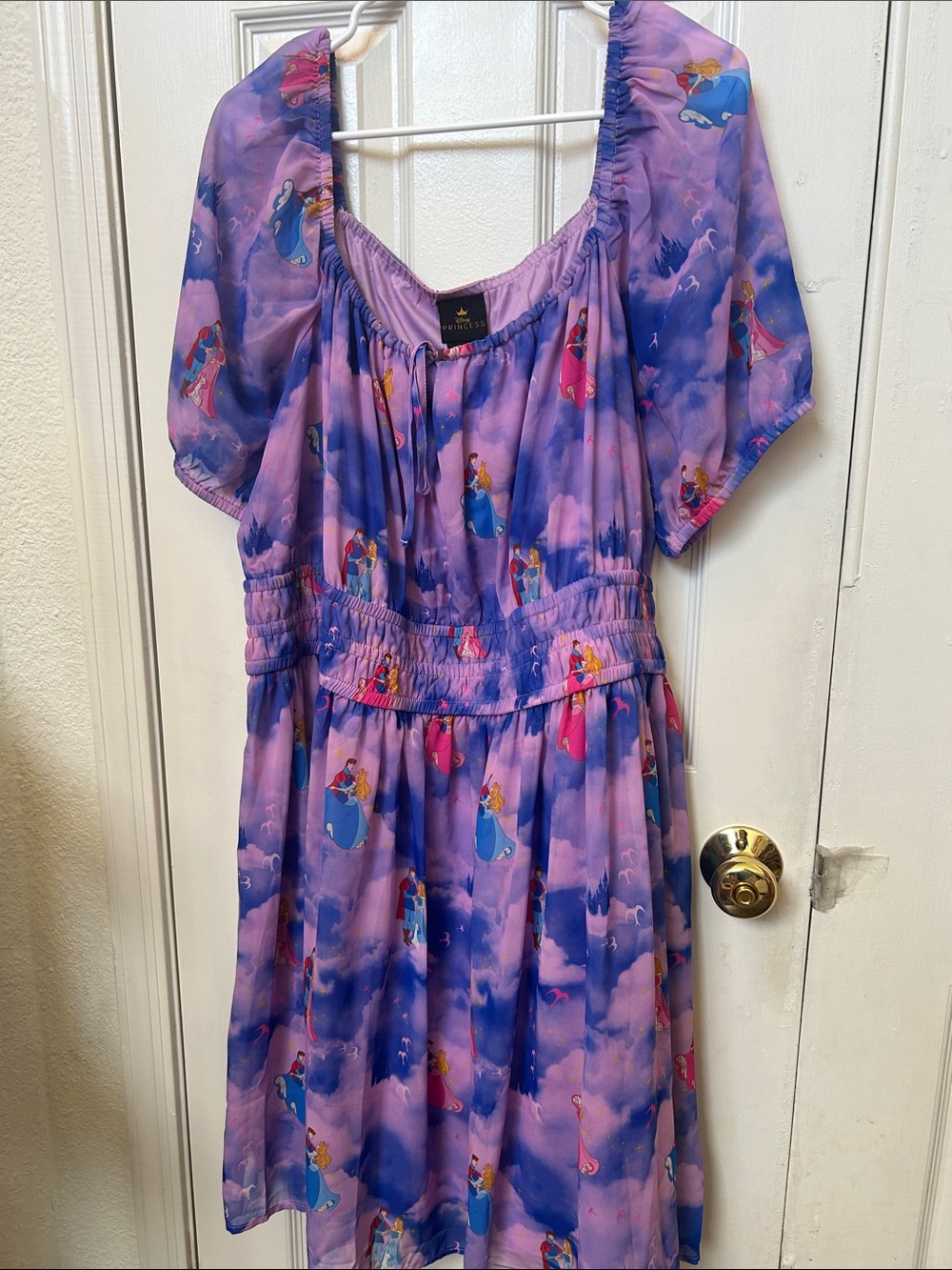 Disney Sleeping Beauty Print Dress 2X